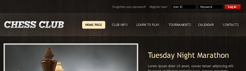 Website Template #27411