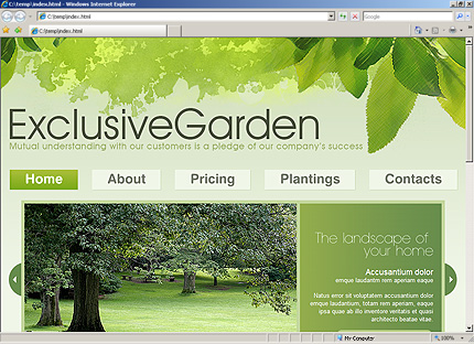 Website Template #27430