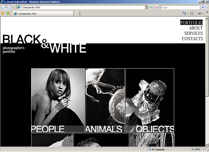 Website Template #27437