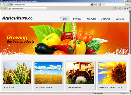 Website Template #27524