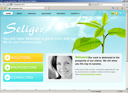 Website Template #27531
