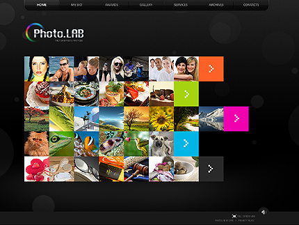 Website Template #27545