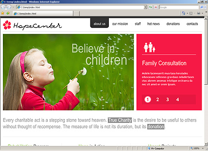 Website Template #27567