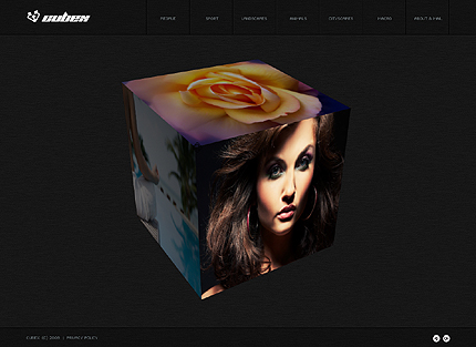 Website Template #27618