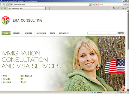 Website Template #27660