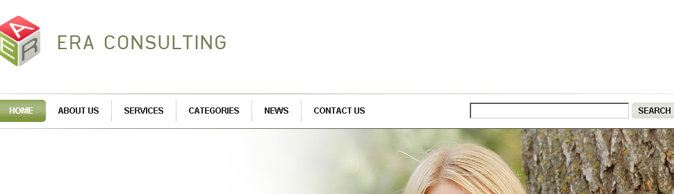 Website Template #27660