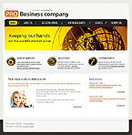 Turnkey Website #27678