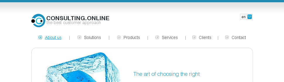 Website Template #27679