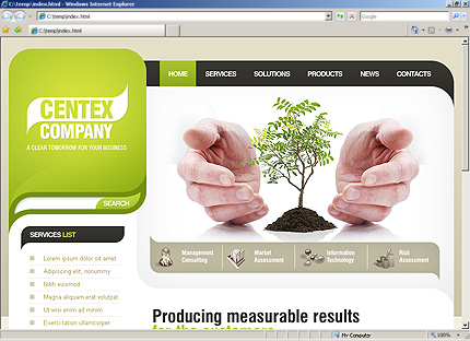 Website Template #27687