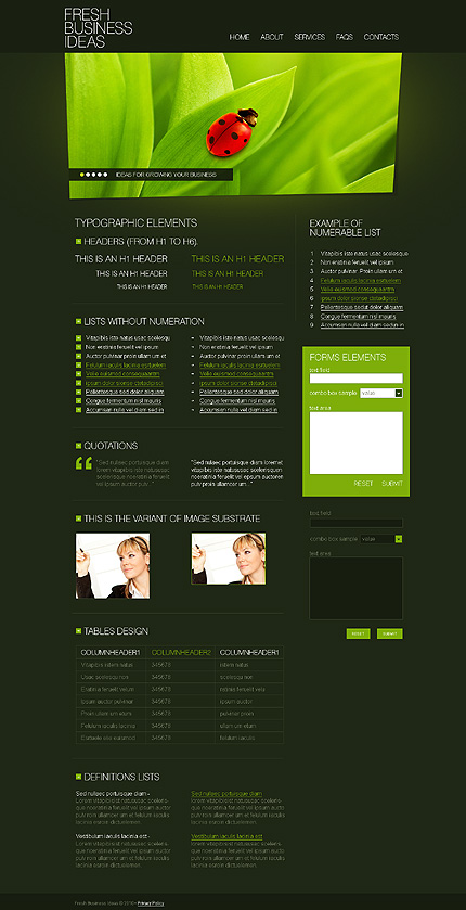 Website Template #27821