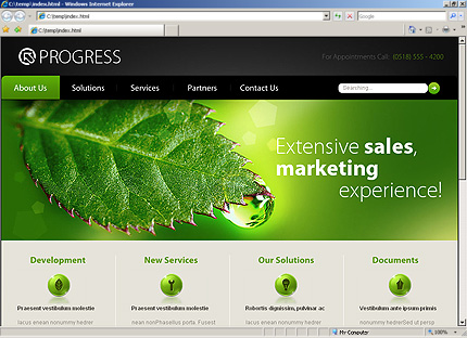 Website Template #27932
