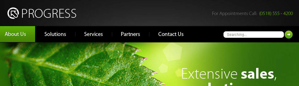 Website Template #27932