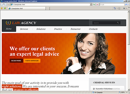 Website Template #27939