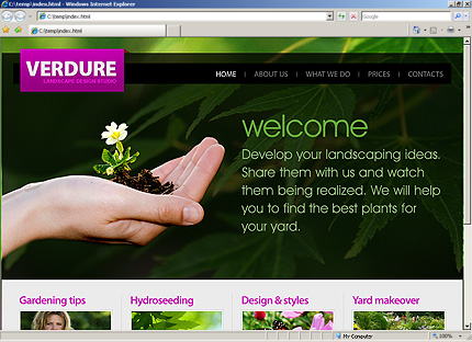 Website Template #27969