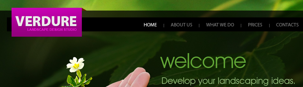 Website Template #27969