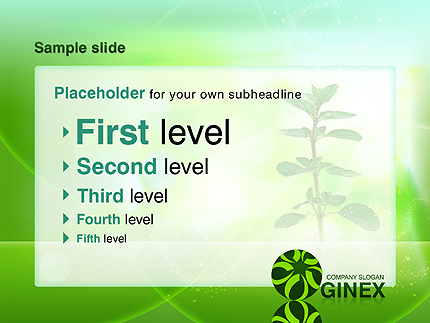 Website Template #28029