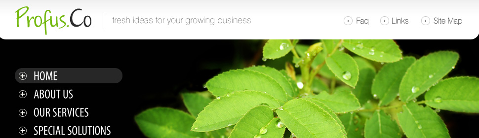 Website Template #28058