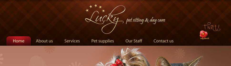 Website Template #28173