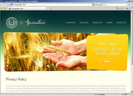 Website Template #28197