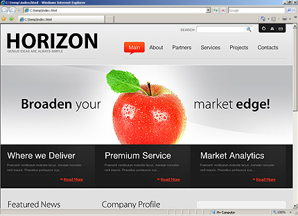 Website Template #28273