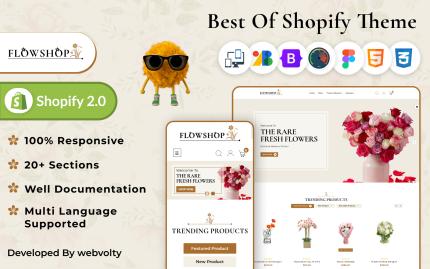 Thèmes Shopify