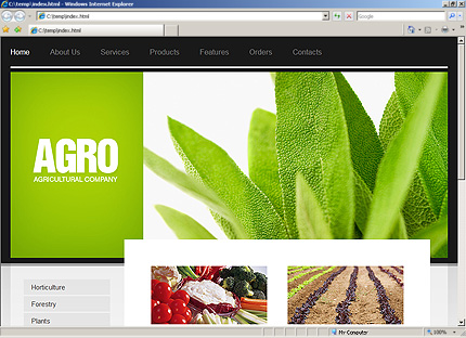 Website Template #28488
