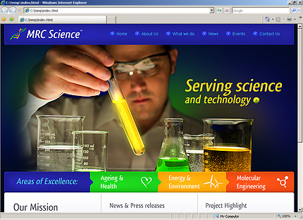 Website Template #28517