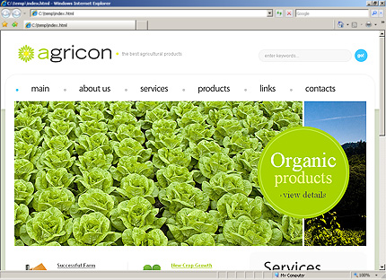 Website Template #29193
