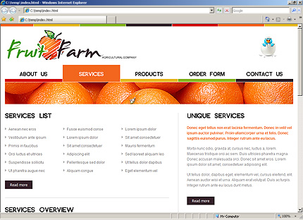 Website Template #29269