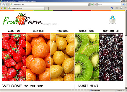 Website Template #29269