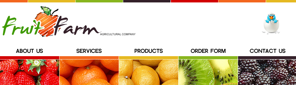 Website Template #29269