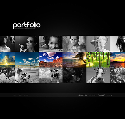Website Template #29283