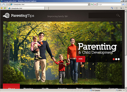 Website Template #29536