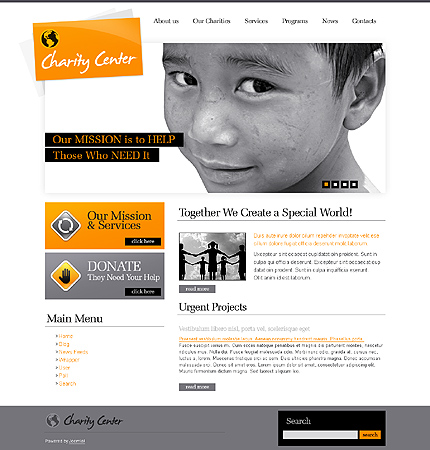 Website Template #29579