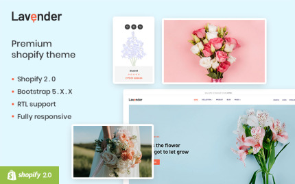 Shopify Themes