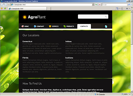Website Template #29629