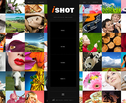 Website Template #29699