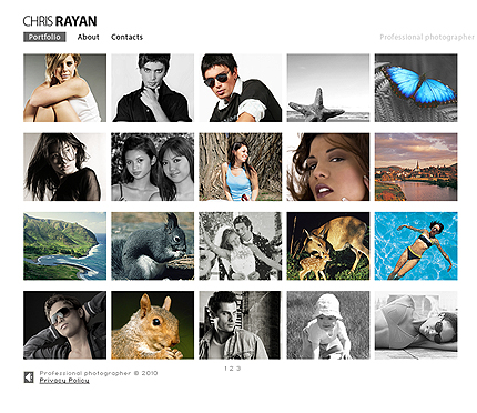 Website Template #29742