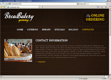 Website Template #29876