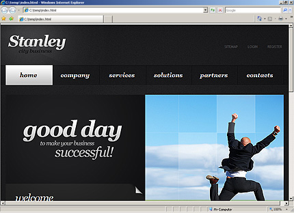 Website Template #29895