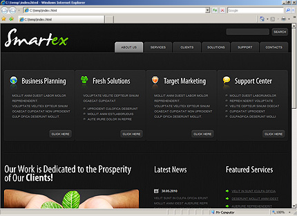 Website Template #30018
