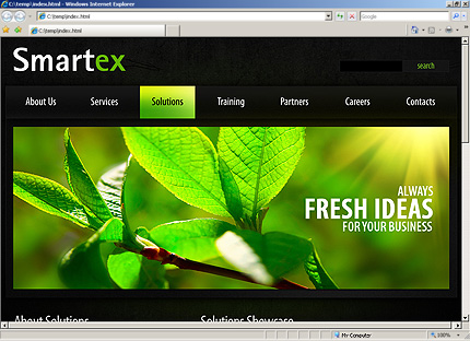 Website Template #30020