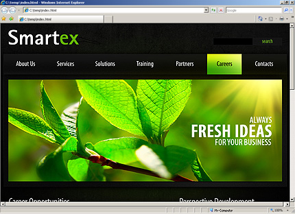 Website Template #30020
