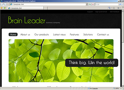 Website Template #30022