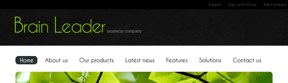 Website Template #30022