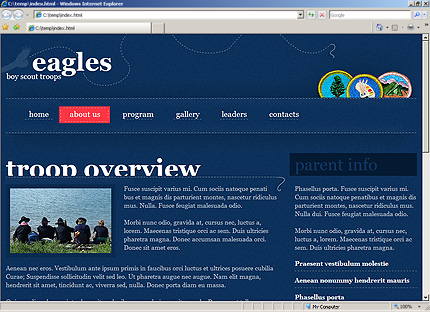 Website Template #30124