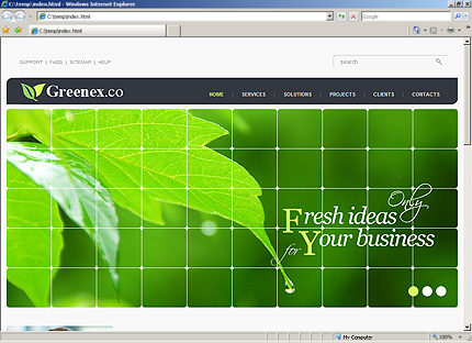 Website Template #30135