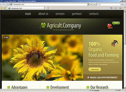 Website Template #30196