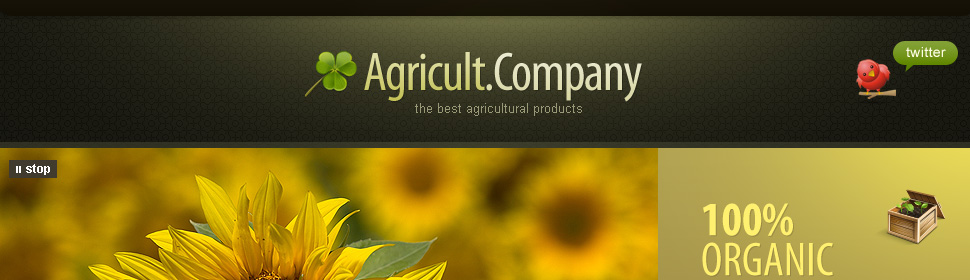 Website Template #30196
