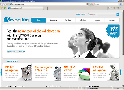 Website Template #30205